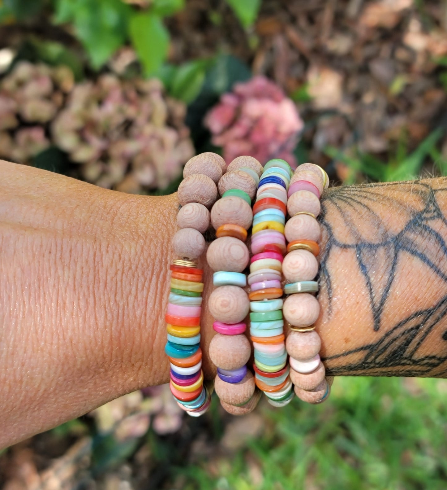 Colorful Shells