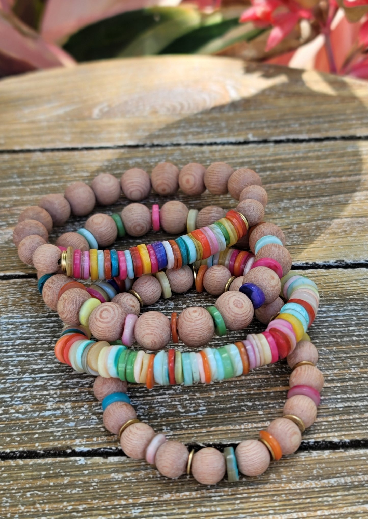 Colorful Shells